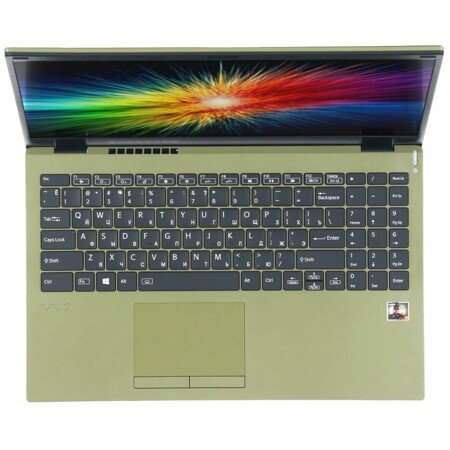 Ноутбук VAIO NE15V2IN071P Green: характеристики и цены