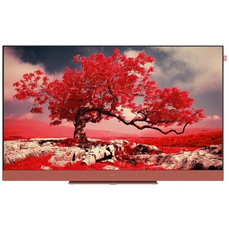 Loewe We. SEE 43 Coral Red: характеристики и цены