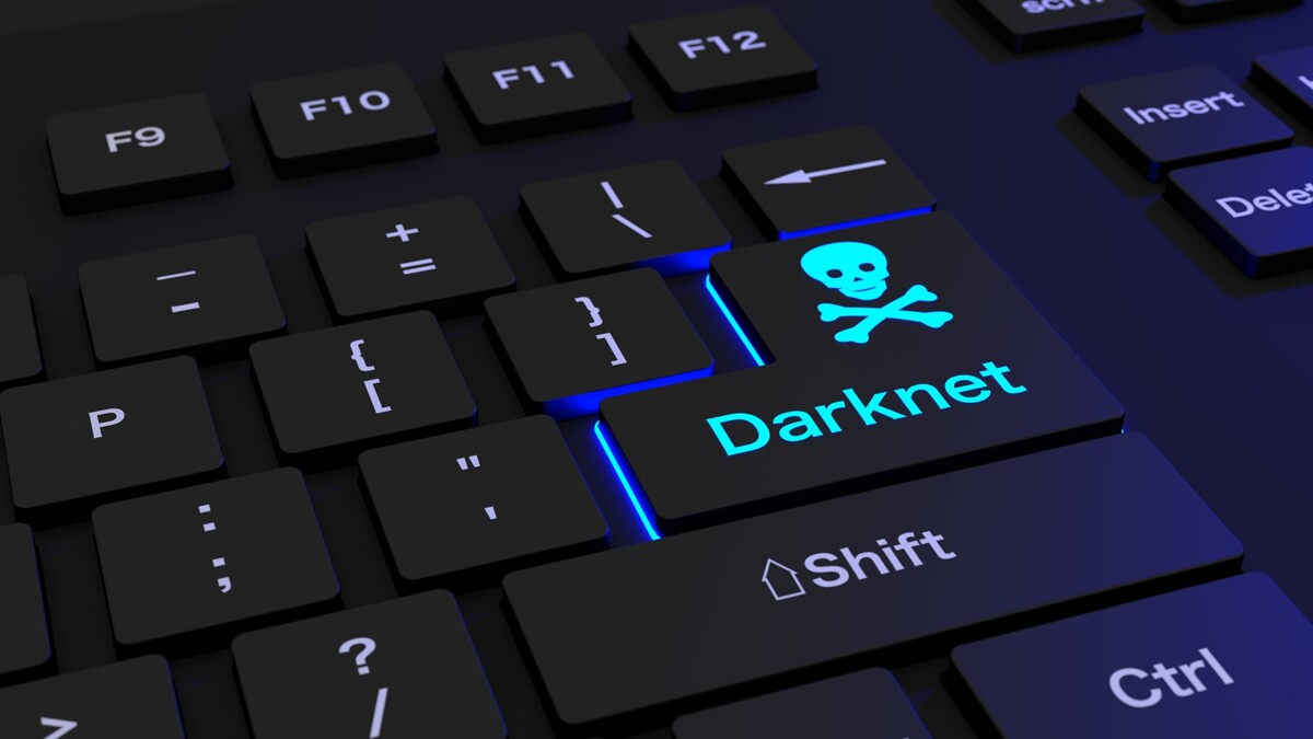 Попасть в darknet darknet brawl stars exe