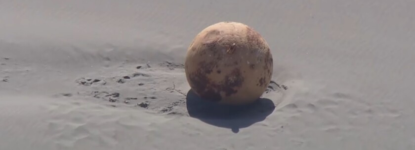 Загадочный шар найден на берегу Японии: фото и видео